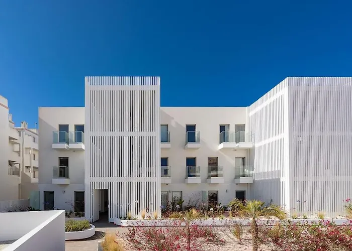 Dalia Modern Five Minutes To Daire Luz