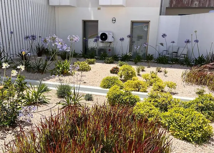 Dalia Modern Five Minutes To *