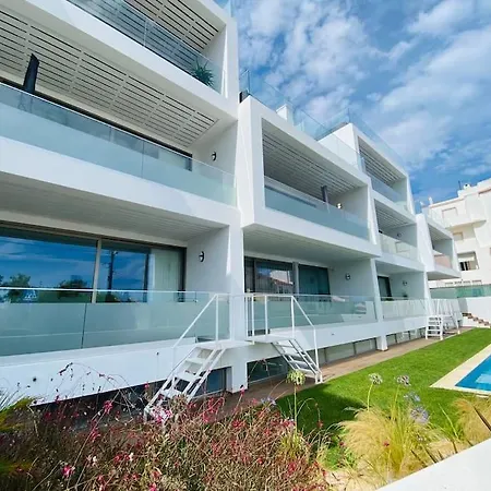 Dália Modern Five Minutes To *