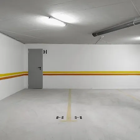 Dália Modern Five Minutes To Luz